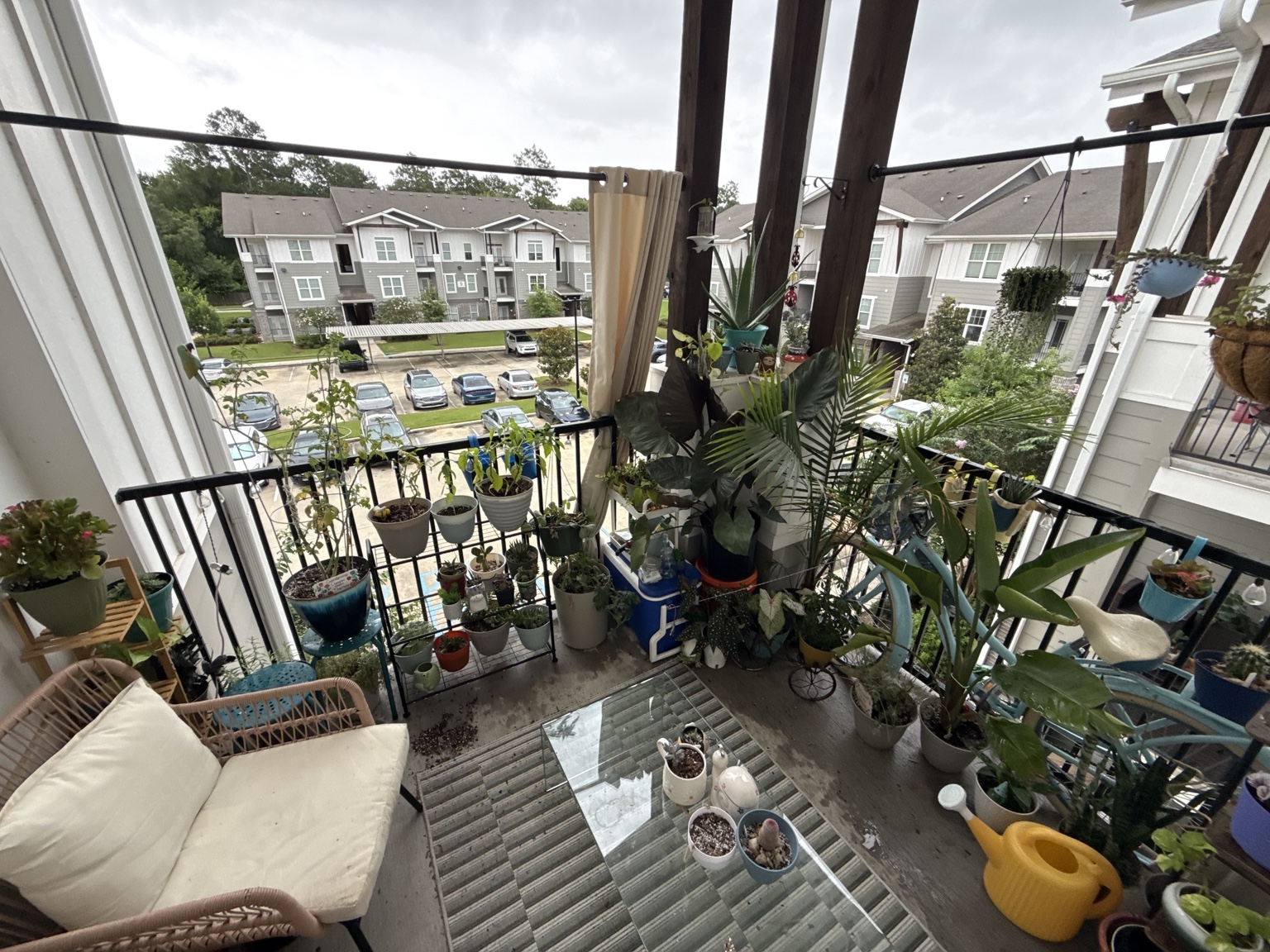 Balcony garden filled with potted plants